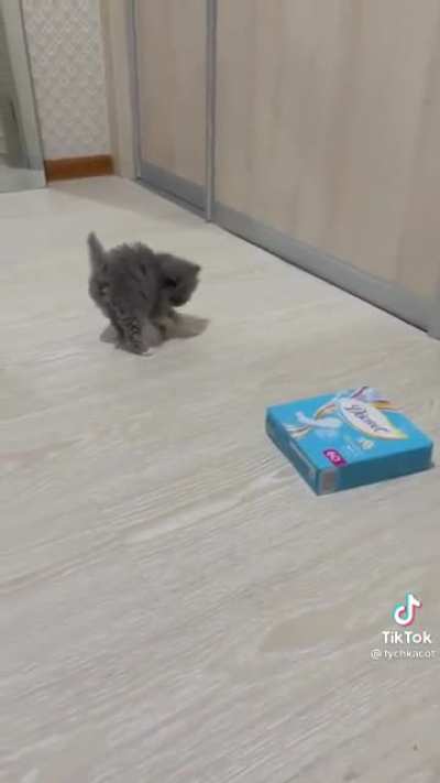 She&lsquo;s so playful!!