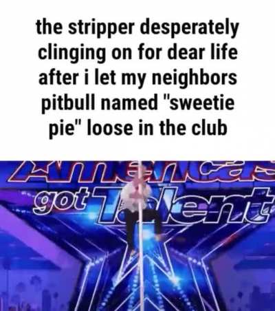 Pissbull lol