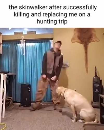 shitposting - Video #0425