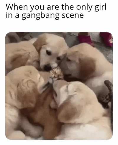 Look at the meme not at the title