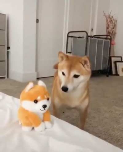 "0:14 Here&rsquo;s something mildly amusing to brighten up your day