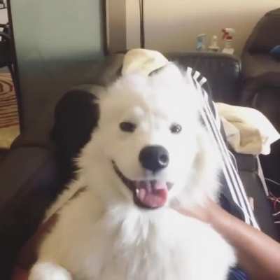 Smush. Unsmush.