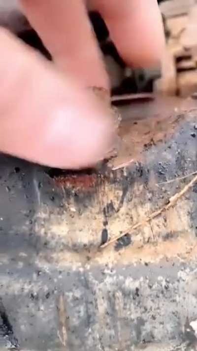 Mechanics hate this one trick