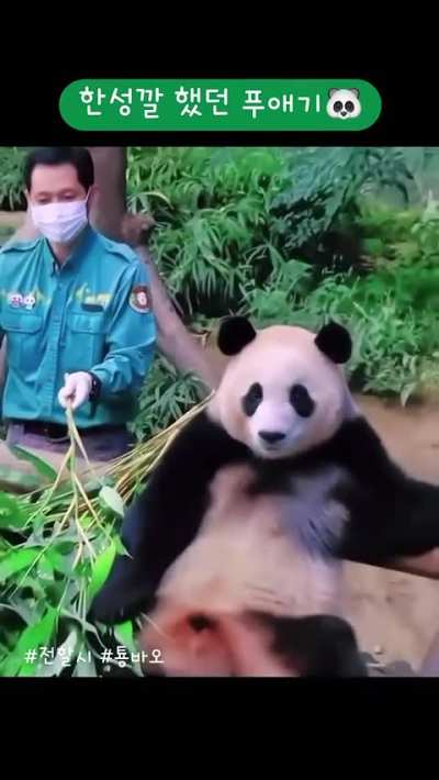 Fu: stop giving me bamboos!!