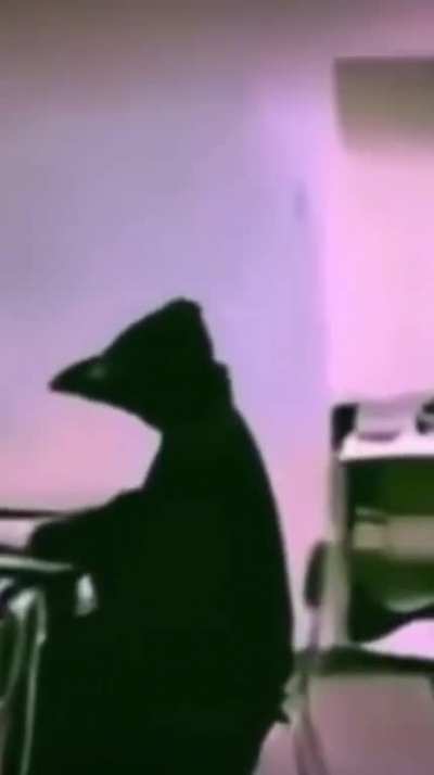 &ouml;h&ouml; &ouml;h&ouml; &ouml;h&ouml;m