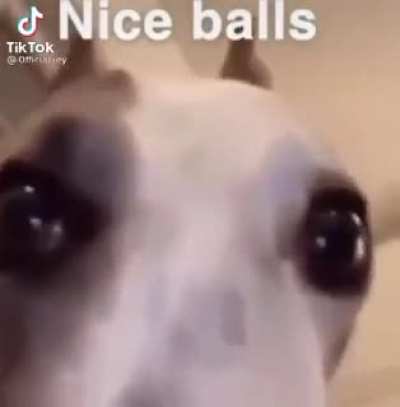 Hmm