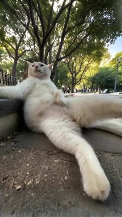 peet pix