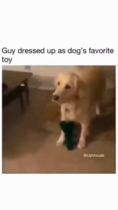 So cute!