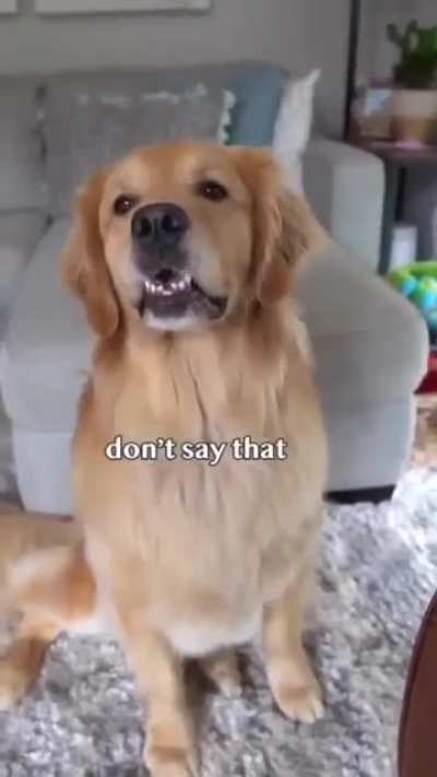 Whatcha doing?