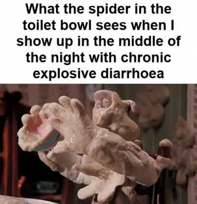 Sorry lil guy