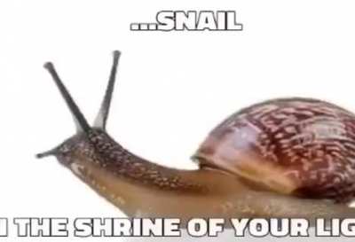 Me_irl