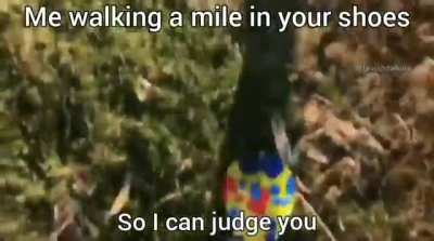 Clown ass nibba