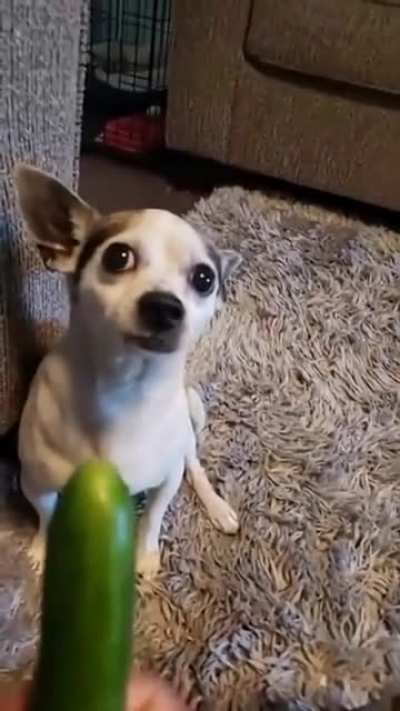 Что не так с огурцом?
