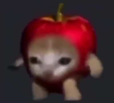Gatito bailando con musica de &iquest;?. Si alguien sabe la cancion que me la diga