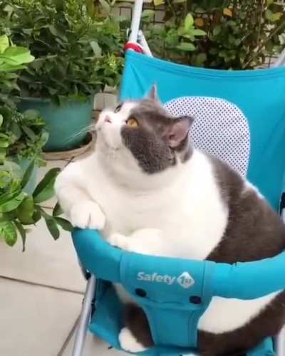 Am bebe