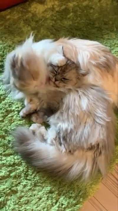 Getting smothered