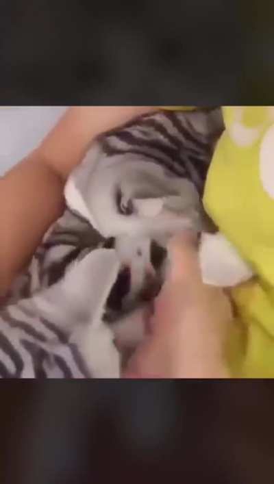 Awww. :(