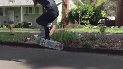 Fakie bigger alpha flip