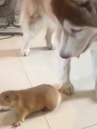 You are mine now