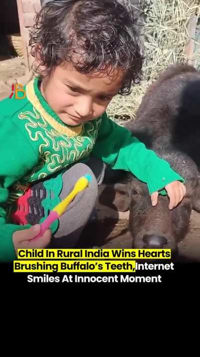 This child&rsquo;s sweet bond with a buffalo shows the beauty of rural life in India 🤍