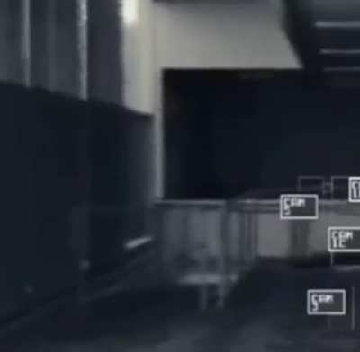 Nikocado's Pizza