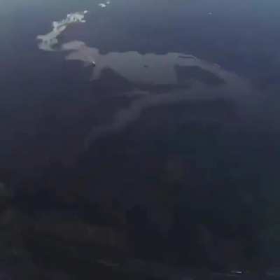Skydive Chaos