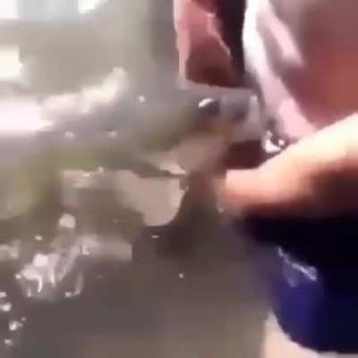 La prins de peste