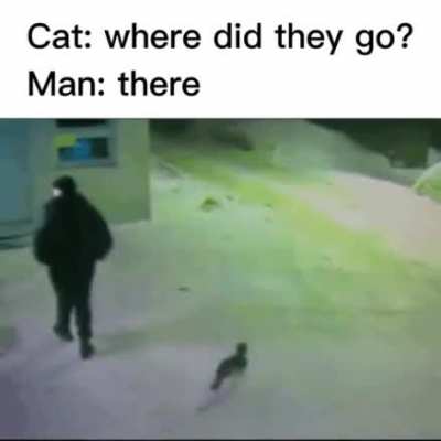 Cat🤝Man