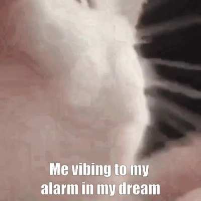 me_irl