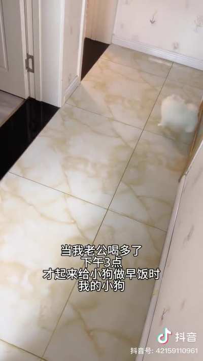 The chinese caption reads "when my husband got drunk and I make dog's meal at 3pm"