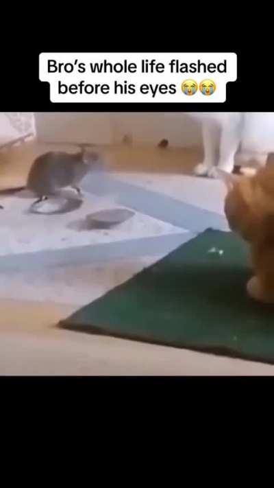 Maybe maybe maybe