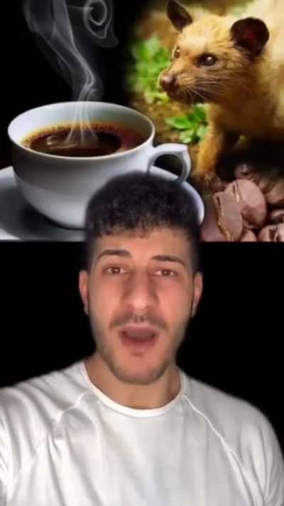 Ya olm bu sosyal medyadaki kaynağı a&ccedil;ıklamayı yapanın g*t&uuml; olan, haberlere nasıl inanıyorlar amina koyim aklım almıyor