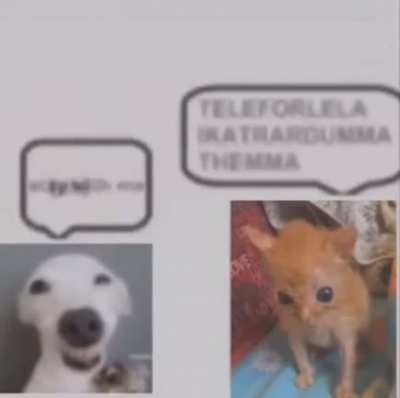 rol tw9