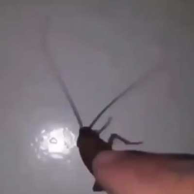 How to un-see this