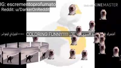 Fortnit secret mode and coloring free download اشترك في الوضع السري لول الآن 100% download free no virus!!!!!