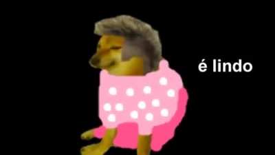 Adulto ney