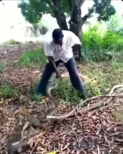 Just nope
