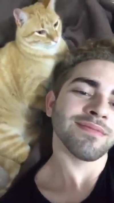 Cat bite