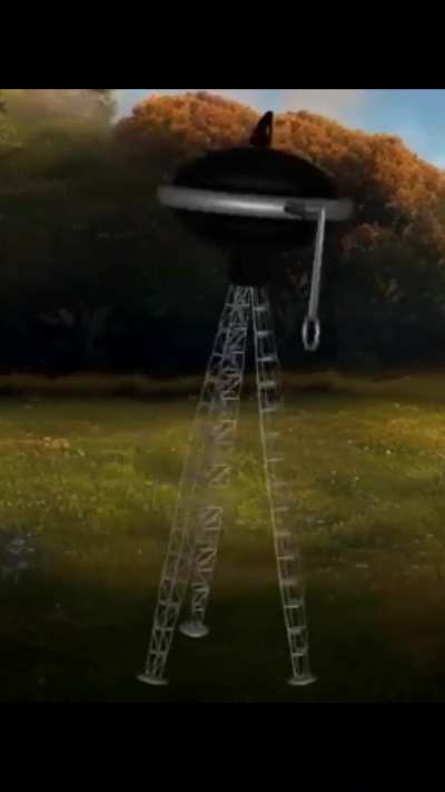 "What kind of _____ is this?" but its tripods