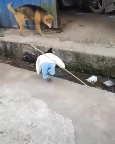 Does this count