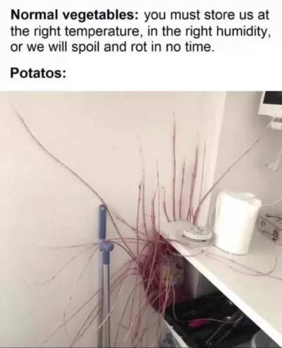 the forbidden vegetable