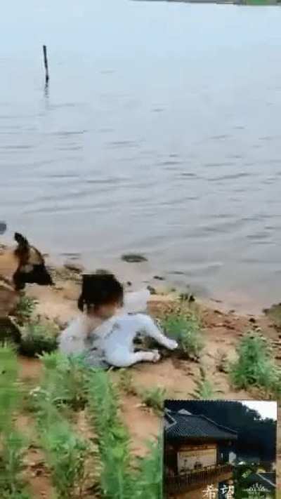 Doggo protecc