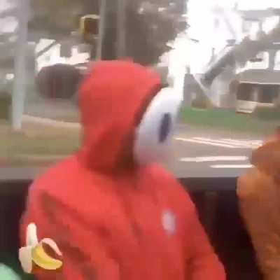 Mario luigi