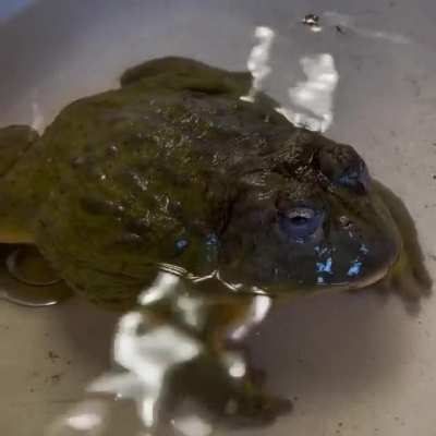 Face Wash