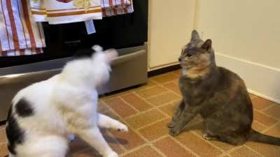 Phoebe is always a little slaptastic at breakfast.