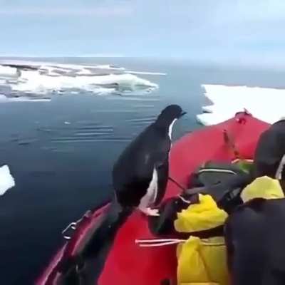 Don't mind me! Just checking for Windows.