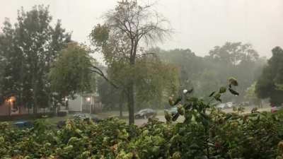 Such a welcome little thunderstorm, we haven&rsquo;t had rain for days. The air was so cool and refreshing.