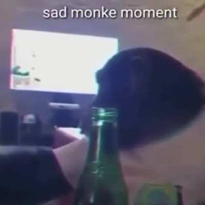 Tfw when no nae nae