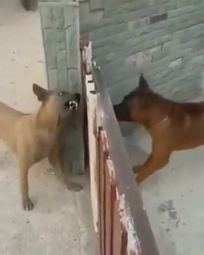 How you doing?