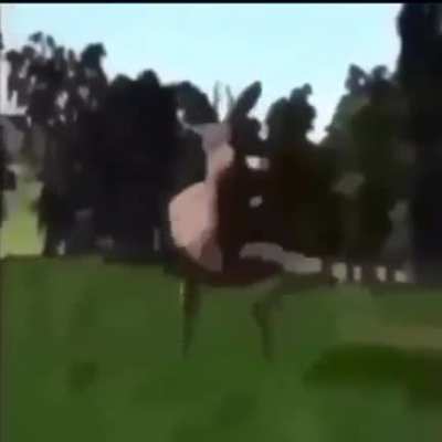 D E E R